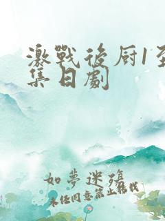 激战后厨1至5集日剧