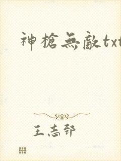神枪无敌txt