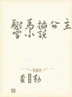 驸马插公主恋战雪小说