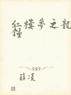 红楼梦之龙套秦钟