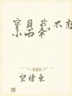 宝贝 我不想带小雨伞