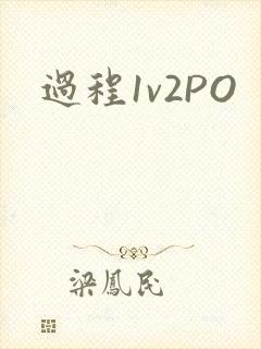 过程1v2PO