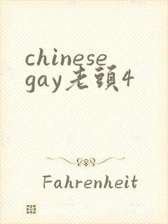 chinesegay老头4