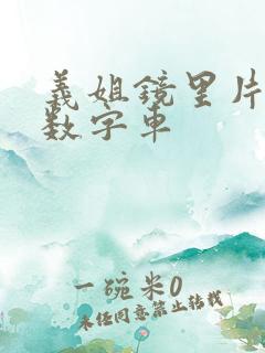 义姐镜里片微博数字车