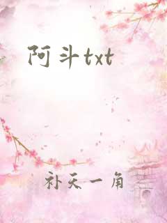 阿斗txt
