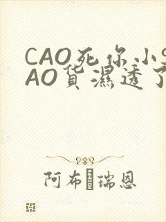 CAO死你小SAO货湿透了学长