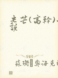 光芒(高干)小说