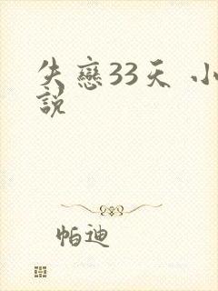 失恋33天 小说
