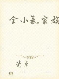 金小气家族小说