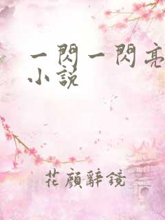 一闪一闪亮星星小说