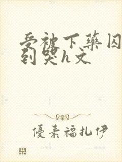 受被下药囚禁脔到哭h文