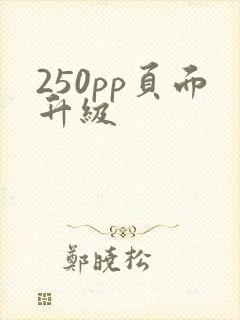 250pp页面升级