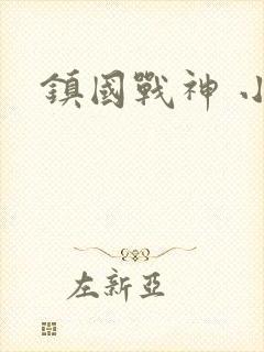 镇国战神 小说
