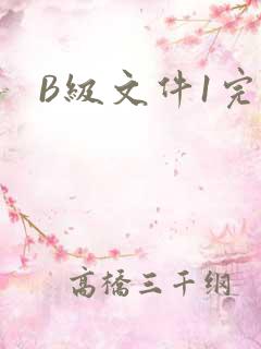 B级文件1完整