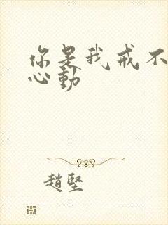 你是我戒不掉的心动