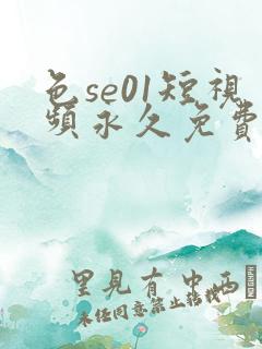 色se01短视频永久免费