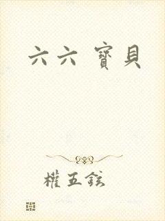 六六 宝贝