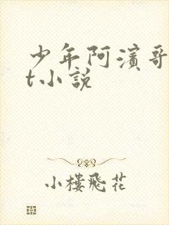 少年阿滨哥txt小说