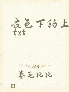 夜色下的上海滩 txt