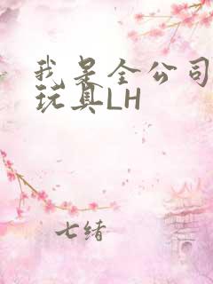 我是全公司发泄玩具LH