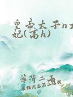 皇帝太子n太子妃(高h)