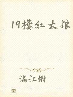 19楼红太狼