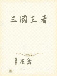 三国王者