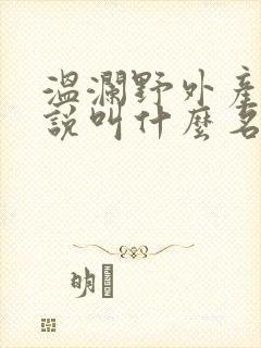 温澜野外产子小说叫什么名字