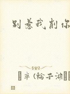 别惹我削你