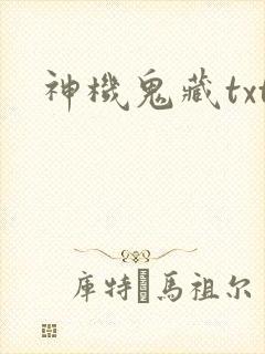 神机鬼藏txt