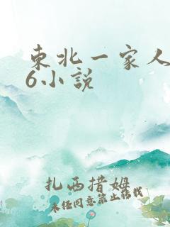 东北一家人1一6小说