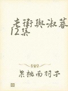 老卫与淑蓉1一12集