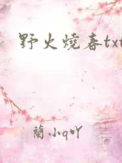 野火烧春txt