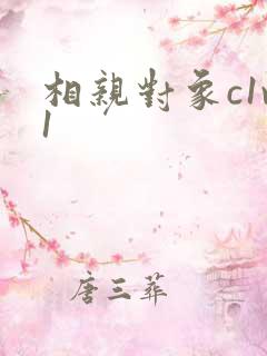 相亲对象c1v1