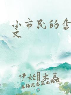 小市民的奋斗燃文