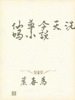 仙尊今天洗白了吗小说