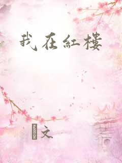 我在红楼