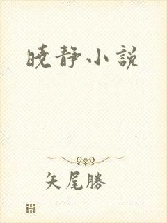 晓静小说
