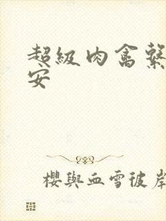 超级肉禽系统保安