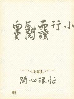 向风而行小说免费阅读