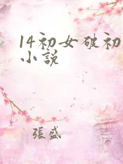 14初女破初的小说