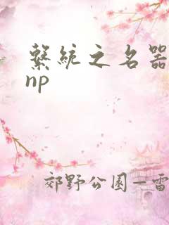 系统之名器攻略np