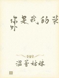 你是我的荣耀番外