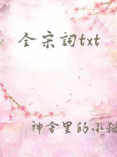 全宋词txt