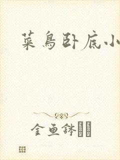 菜鸟卧底小正太