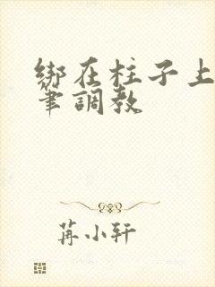 绑在柱子上用毛笔调教