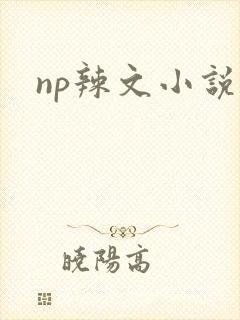 np辣文小说