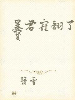 暴君宠翻了小娇宝