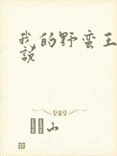 我的野蛮王妃小说