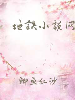 地铁小说网